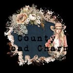 Whitney Ortiz - @county_road_charm - Instagram