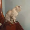 whitneyortiz01 - @whitneyortiz01 - TikTok