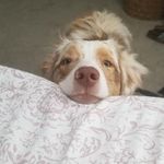 Whitney Patrick - @adventures_of_autumn1 - Instagram