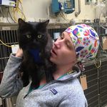 Whitney E. Phipps, DVM, DACVS (small animal) - @spotteddogvet - Instagram