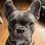 Whitney Hogan Pierce - @whitneypierce9403 - Instagram