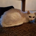 whitney - @whitney_de_poes - Instagram