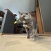 Whitney Potter - Facebook