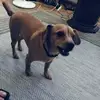 whitneypurcell0 - @hannah.purcell5 - TikTok