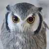 WhitneyRandall - @whitneyrandalltybesr - TikTok