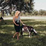 Whitney Rapp - @thesassysurrogate - Instagram