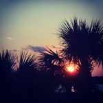 Whitney Reeves - @constant_hypnos - Instagram