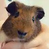 Whitney Rosales - @whitney.rosales01 - TikTok