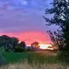 Whitney Sanchez - @whitney.sanchez5 - TikTok