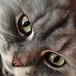 Whitney Sanchez - @yinsu14 - Instagram