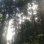 whitney sapp - @ourschooljournal - Instagram