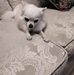 Whitney Schuler - Facebook