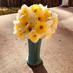 Whitney Shaffer - @whitney_l_shaffer - Instagram