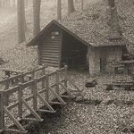 Whitney Shields - @mycabininthewoods.podcast - Instagram