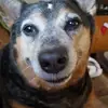 Whitney Van Tol Sing - @whitneyvantolsingleton - TikTok