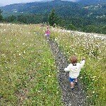 Whitney Bushnell Smart - @whitbsmart - Instagram
