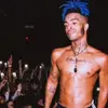 WhitneySolis - @francmkznol - TikTok