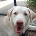 Whittney Sires - Facebook