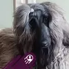 Whitney Sutherland-Lewis Espin - @whitney.sutherlan - TikTok