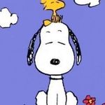 Whitney Sutton - @whitney.sutton.988 - Instagram