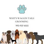 Whitney Tarver - @whits_waggin_tails_grooming - Instagram