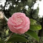 陳惠真 - @whitneytrue.chen - Instagram