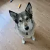 Whitney Amburgey - @whitneyamburgey32 - TikTok