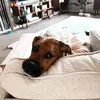 whitneyvera0 - @whitneyvera0 - TikTok