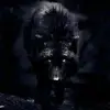 Whitney Vincent - @whitneyvincent_3284 - TikTok