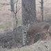 Whitney Waller - Facebook