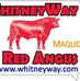 Whitney Way Red Angus - Facebook