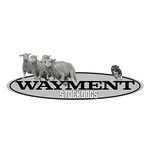 Whitney Wayment - @whitneywayment - Instagram