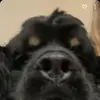 whitney.welk - @whitney.welk - TikTok