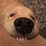 @why_.__._bother - Instagram