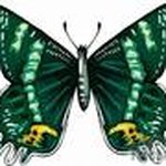 Linda Wick Smith - @linda44721 - Instagram