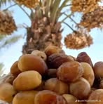 Widad Mohamed - Facebook