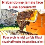 Widline Jean Jacque - @widlinejeanjacque - Instagram