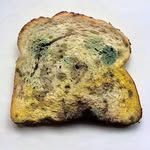 Wiebke Schulz - @bread.less.art - Instagram