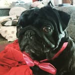 Wiebke Schulz - @wiebkeschulz - Instagram