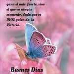 Wigberto Rodriguez Rivera - @wigberto535 - Instagram