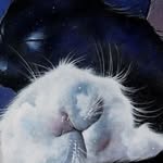 wijdan abdo - @wijdanwijdan123abdo - Instagram