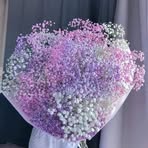 Wijdan Abdo - Facebook