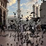 wijdán Tahá - @wijdantaha68 - Instagram