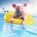 Wiktor Daniel - Facebook
