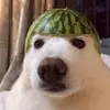Wiktor Daniel - @harry_997_ - TikTok