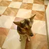 Wiktor Danielak - @wiktor.danielak4 - TikTok