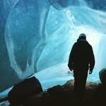 Wil Alexander - @williamhalexander - Instagram