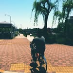 Wil CC - @wil_cheung0217 - Instagram