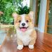 Will Cheung - Facebook