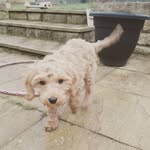 wilclarke - @wilclarke1358 - Instagram